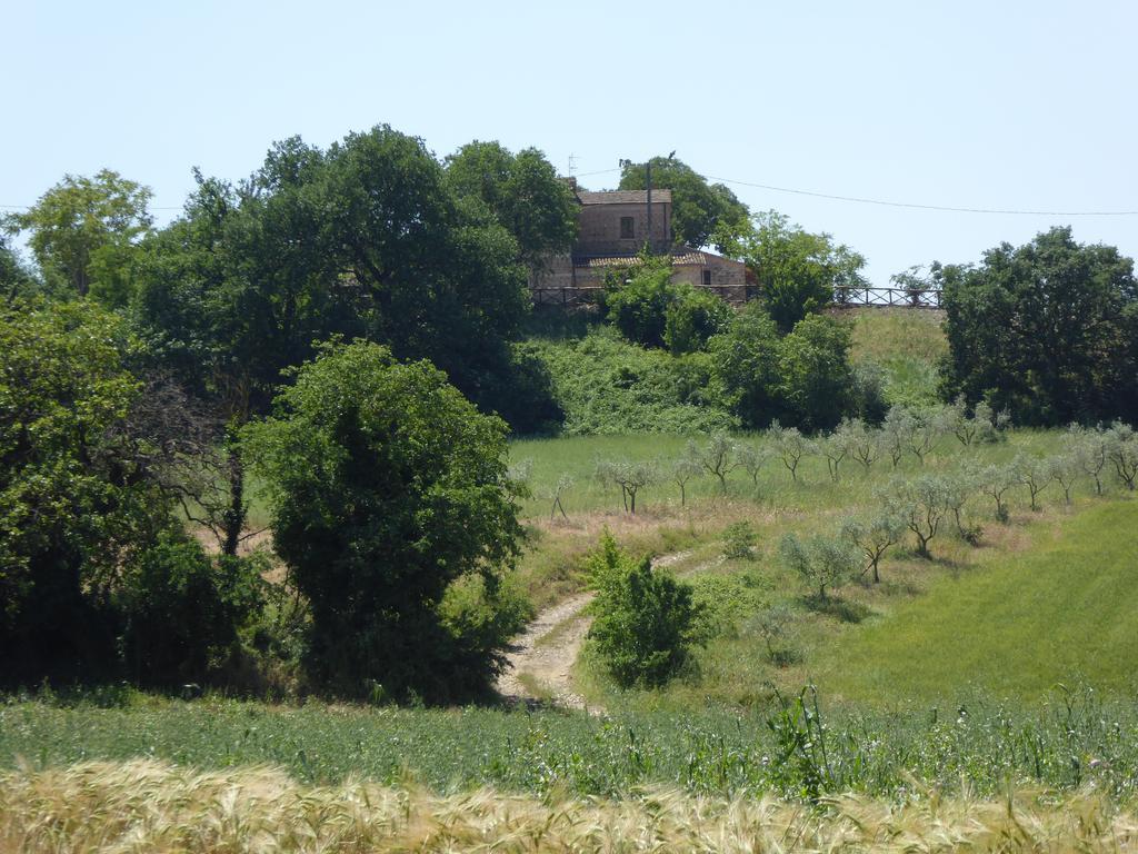 Vila Pietre Di Fiume Apice Exteriér fotografie